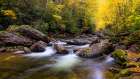 USA, North Carolina. West Fork Pigeon River and forest landscape. Art Print